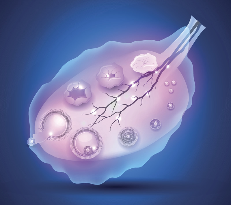 〖热点!2025试管助孕怀孕公司排行榜发布,南昌十大助孕公司揭秘!〗